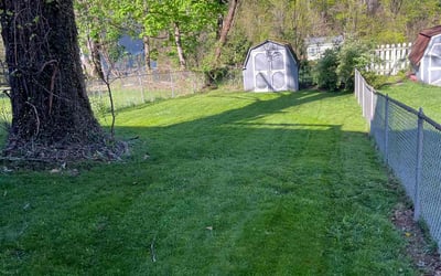 Photo of Kathy J.'s yard after getting lawn care in Baldwin, PA