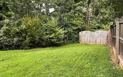 Photo of Christy L.'s yard after getting lawn care in Siler City, NC