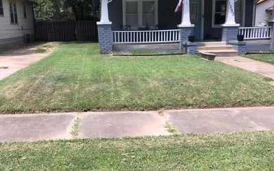 Photo of David N.'s yard after getting lawn care in Seekonk, MA