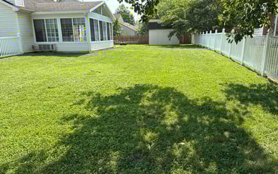 Photo of Bart A.'s yard after getting lawn care in Trumbull, CT