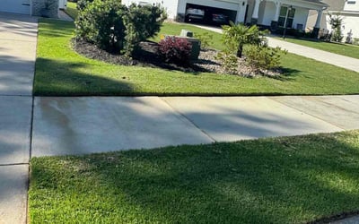 Photo of Morgan Y.'s yard after getting lawn care in Four Oaks, NC