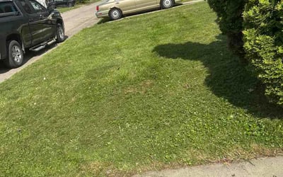 Photo of Dennis K.'s yard after getting lawn care in Hobart, IN