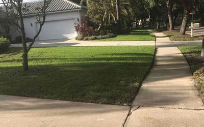 Photo of Elizabeth C.'s yard after getting lawn care in Lake Worth, FL