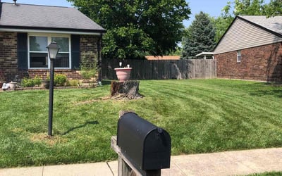 Photo of Mikal C.'s yard after getting lawn care in Waldorf, MD