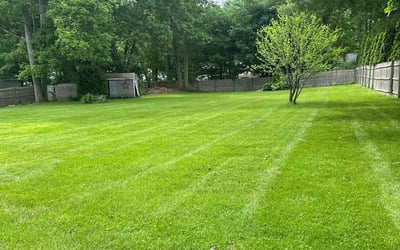 Photo of Ashley M.'s yard after getting lawn care in Attleboro, MA