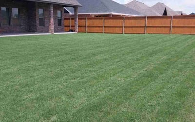 Photo of Anne A.'s yard after getting lawn care in Wheaton, IL