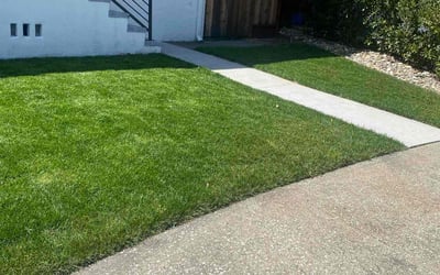 Photo of Falone D.'s yard after getting lawn care in Pacifica, CA