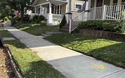 Photo of Dan R.'s yard after getting lawn care in Bremerton, WA