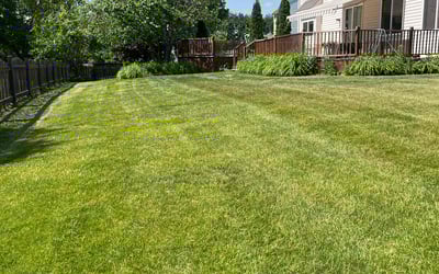 Photo of Dan B.'s yard after getting lawn care in Arvada, CO