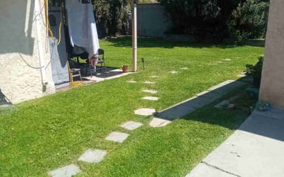 Photo of Kimberly R.'s yard after getting lawn care in Alhambra, CA