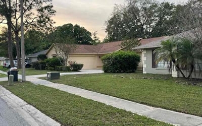 Photo of Alicia U.'s yard after getting lawn care in Georgetown, TX