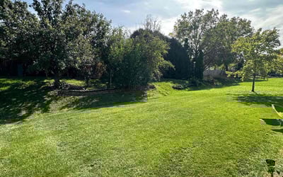 Photo of Ericia H.'s yard after getting lawn care in Westmont, IL