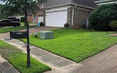 Photo of Annie W.'s yard after getting lawn care in Detroit, MI