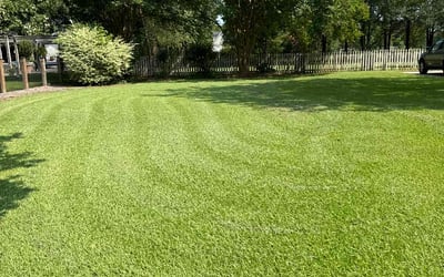 Photo of Edna B.'s yard after getting lawn care in Rocky Mount, NC