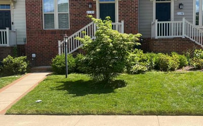 Photo of Timothy G.'s yard after getting lawn care in Elyria, OH