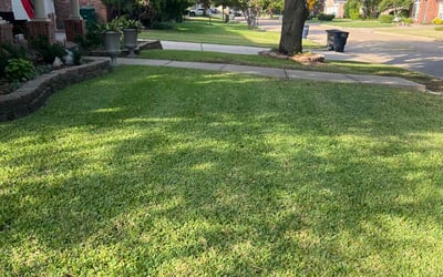 Photo of Bernard T.'s yard after getting lawn care in Southlake, TX