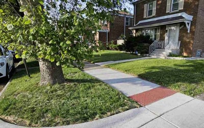 Photo of Sherita B.'s yard after getting lawn care in Riverdale, IL