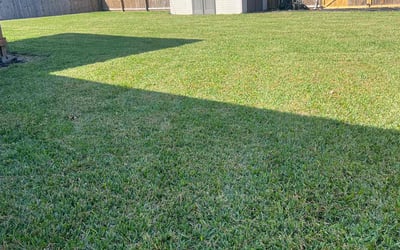 Photo of Tony M.'s yard after getting lawn care in St. Petersburg, FL