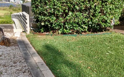 Photo of Gabrielle B.'s yard after getting lawn care in Derry, NH