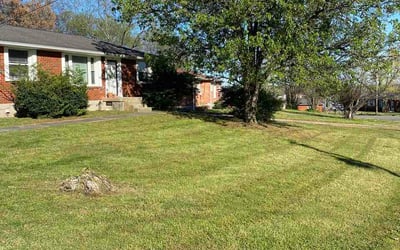 Photo of Jake D.'s yard after getting lawn care in Washougal, WA