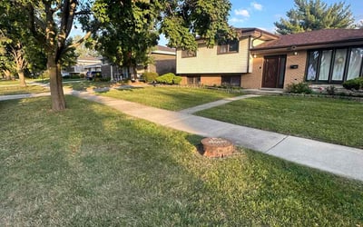Photo of Clinton I.'s yard after getting lawn care in Wood Dale, IL