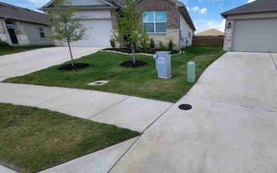 Photo of Sara D.'s yard after getting lawn care in Kyle, TX
