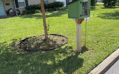 Photo of Ferdy D.'s yard after getting lawn care in Orlando, FL