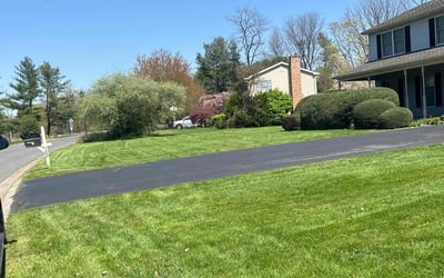 Photo of Marie N.'s yard after getting lawn care in Hockessin, DE