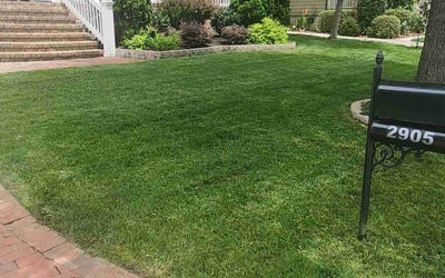 Photo of Dana J.'s yard after getting lawn care in South Amboy, NJ