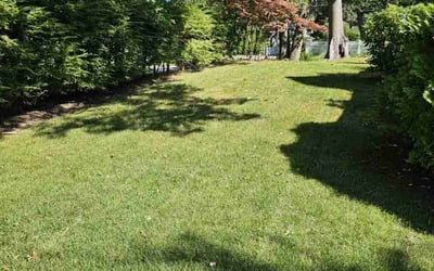 Photo of Sreelakshmi P.'s yard after getting lawn care in Shrewsbury, MA