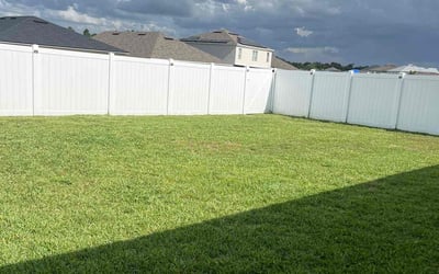 Photo of Elizabeth C.'s yard after getting lawn care in Lake Worth, FL