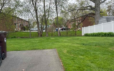 Photo of Myra M.'s yard after getting lawn care in New Britain, CT