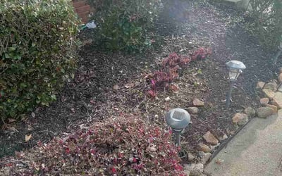 Photo of Christina C.'s yard after getting lawn care in Cleveland, TN