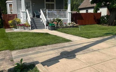 Photo of Deborah R.'s yard after getting lawn care in Riverdale, IL