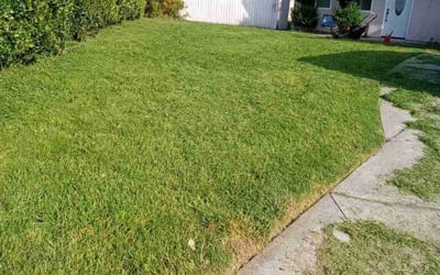 Photo of Harvey B.'s yard after getting lawn care in Hacienda Heights, CA