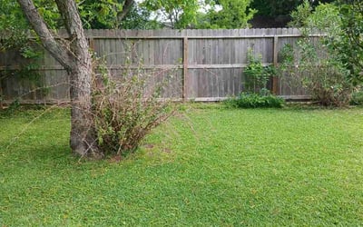 Photo of Tony S.'s yard after getting lawn care in Texas City, TX