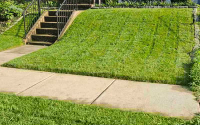 Photo of Janis C.'s yard after getting lawn care in Terre Haute, IN