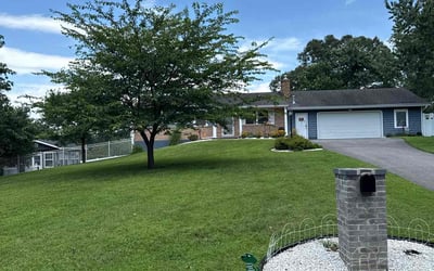 Photo of Dean L.'s yard after getting tree care in Escondido, CA