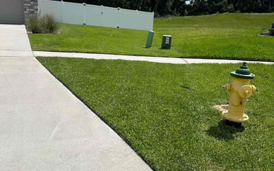 Photo of Kira G.'s yard after getting lawn care in Narragansett, RI