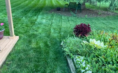 Photo of Michael R.'s yard after getting lawn care in Clarkston, MI