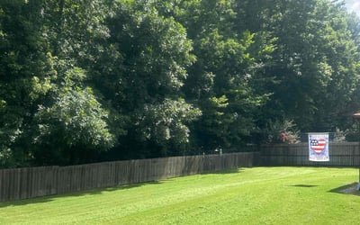 Photo of Elainedetamore D.'s yard after getting lawn care in Charleston, WV