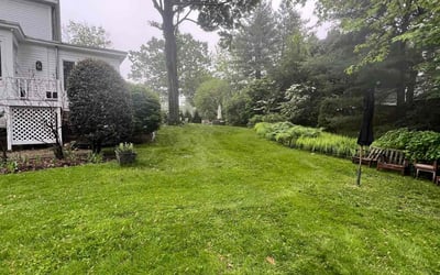 Photo of Paul D.'s yard after getting lawn care in Humble, TX