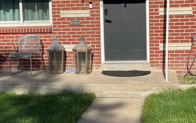 Photo of Tad M.'s yard after getting lawn care in Arvada, CO
