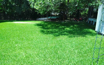 Photo of Crashawn C.'s yard after getting lawn care in Baton Rouge, LA