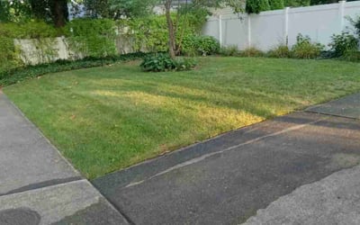 Photo of Jason K.'s yard after getting lawn care in Mays Landing, NJ