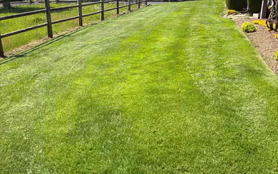 Photo of Jared M.'s yard after getting lawn care in Norfolk, VA