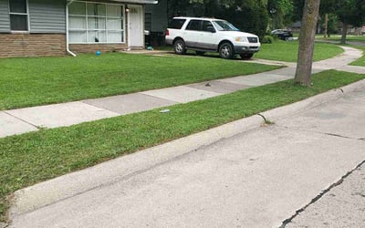 Photo of Aramis H.'s yard after getting lawn care in Oak Park, MI