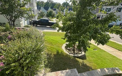 Photo of Dineen C.'s yard after getting lawn care in Woodhaven, NY