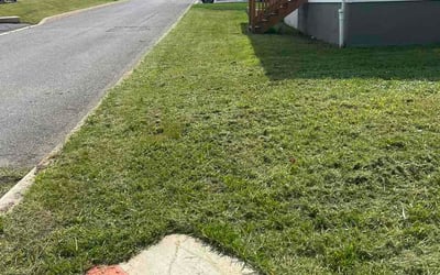Photo of Dash C.'s yard after getting lawn care in Delmar, NY