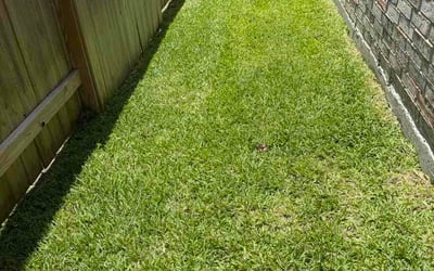 Photo of Craig M.'s yard after getting lawn care in Trussville, AL